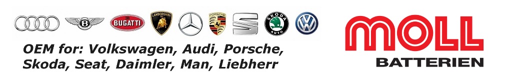 acumulatori-auto-moll-germania-oem